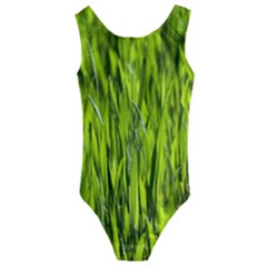 Agricultural Field   Kids  Cut-out Back One Piece Swimsuit by rsooll