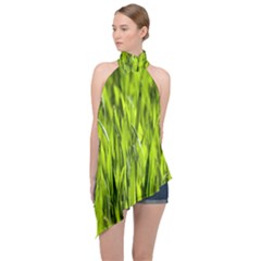 Agricultural Field   Halter Asymmetric Satin Top by rsooll