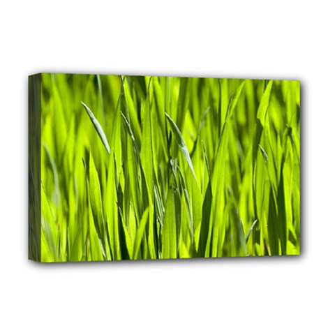 Agricultural Field   Deluxe Canvas 18  X 12  (stretched) by rsooll