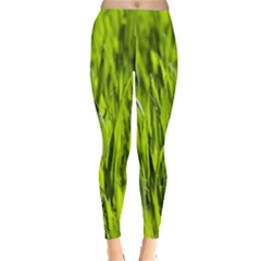 Agricultural Field   Leggings 