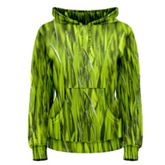 Agricultural Field   Women s Pullover Hoodie by rsooll