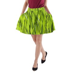 Agricultural Field   A-line Pocket Skirt by rsooll