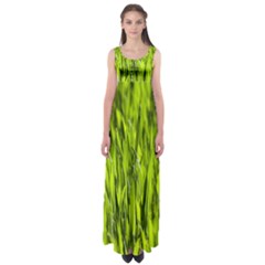 Agricultural Field   Empire Waist Maxi Dress