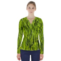 Agricultural Field   V-neck Long Sleeve Top by rsooll