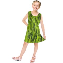 Agricultural Field   Kids  Tunic Dress by rsooll