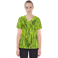 Agricultural Field   Women s V-neck Scrub Top by rsooll
