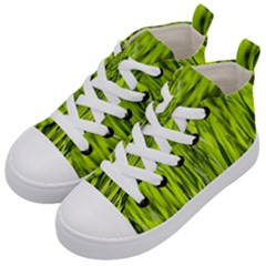 Agricultural Field   Kids  Mid-top Canvas Sneakers by rsooll