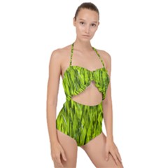 Agricultural Field   Scallop Top Cut Out Swimsuit by rsooll