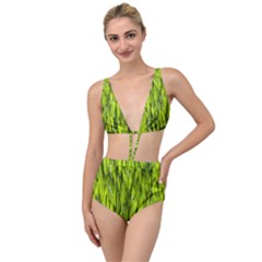 Agricultural Field   Tied Up Two Piece Swimsuit by rsooll