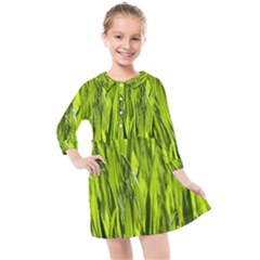 Agricultural Field   Kids  Quarter Sleeve Shirt Dress by rsooll