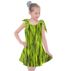 Agricultural Field   Kids  Tie Up Tunic Dress by rsooll