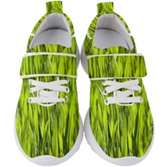 Agricultural Field   Kids  Velcro Strap Shoes by rsooll