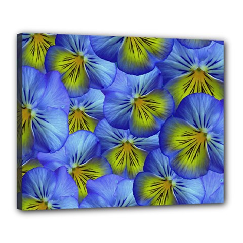Flowers Pansy Background Purple Canvas 20  X 16  (stretched) by Mariart