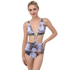 Henry Moore Tied Up Two Piece Swimsuit