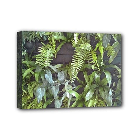Living Wall Mini Canvas 7  X 5  (stretched) by Riverwoman