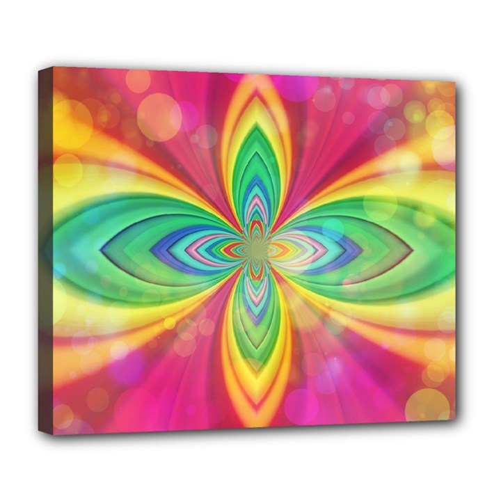 Color Abstract Form Ellipse Bokeh Deluxe Canvas 24  x 20  (Stretched)