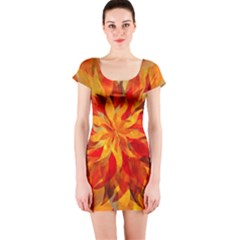 Flower Blossom Red Orange Abstract Short Sleeve Bodycon Dress by Pakrebo