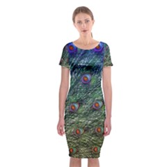 Peacock Feathers Colorful Feather Classic Short Sleeve Midi Dress by Pakrebo