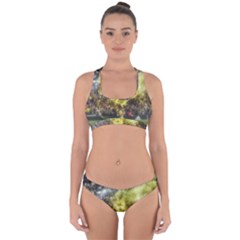 Columbus Crew Crowd, Mapfe Stadium Cross Back Hipster Bikini Set by Riverwoman