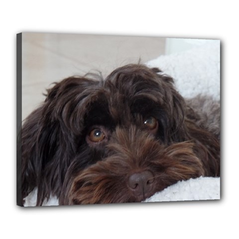 Laying In Dog Bed Canvas 20  X 16  (stretched) by pauchesstore