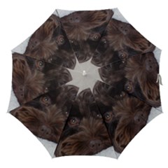 Laying In Dog Bed Straight Umbrellas by pauchesstore