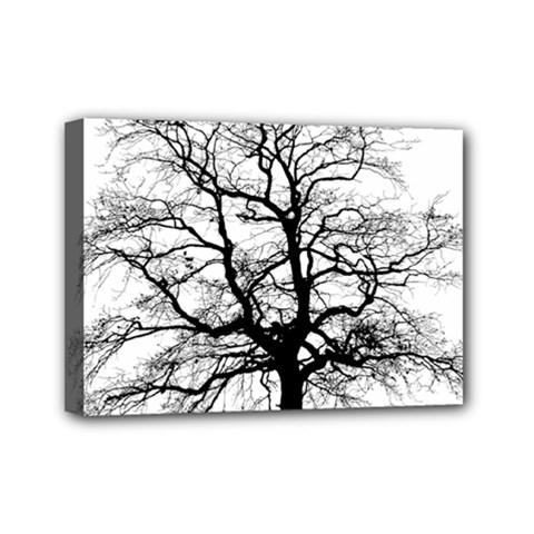 Tree Silhouette Winter Plant Mini Canvas 7  x 5  (Stretched)