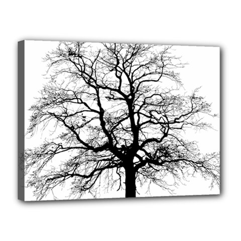 Tree Silhouette Winter Plant Canvas 16  x 12  (Stretched)