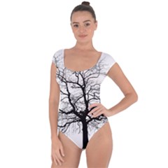 Tree Silhouette Winter Plant Short Sleeve Leotard 