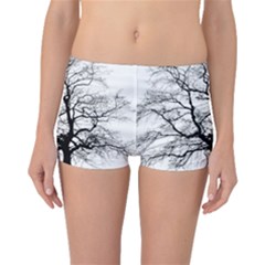 Tree Silhouette Winter Plant Boyleg Bikini Bottoms