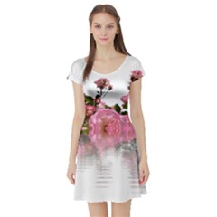 Roses Flowers Nature Flower Short Sleeve Skater Dress