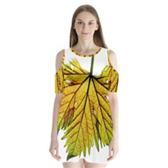 Leaf Grape Vine Sunlight Garden Shoulder Cutout Velvet One Piece