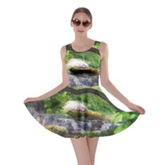 Chicago Garden Of The Phoenix Skater Dress by Riverwoman