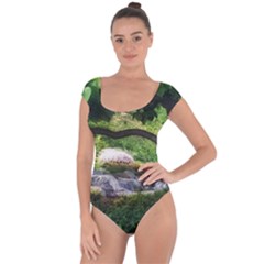 Chicago Garden Of The Phoenix Short Sleeve Leotard  by Riverwoman