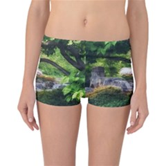 Chicago Garden Of The Phoenix Reversible Boyleg Bikini Bottoms by Riverwoman