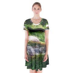 Chicago Garden Of The Phoenix Short Sleeve V-neck Flare Dress by Riverwoman