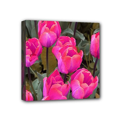 Pink Tulips Mini Canvas 4  X 4  (stretched)