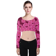 Cherry Blossoms Floral Design Velvet Long Sleeve Crop Top by Pakrebo