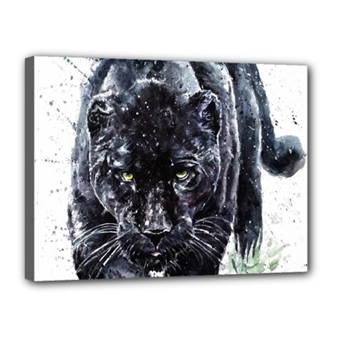 Panther Canvas 16  X 12  (stretched) by kot737