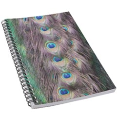 Peacock Bird Pattern 5 5  X 8 5  Notebook by Pakrebo