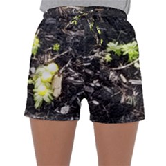 Signs Of Spring Sleepwear Shorts by Riverwoman