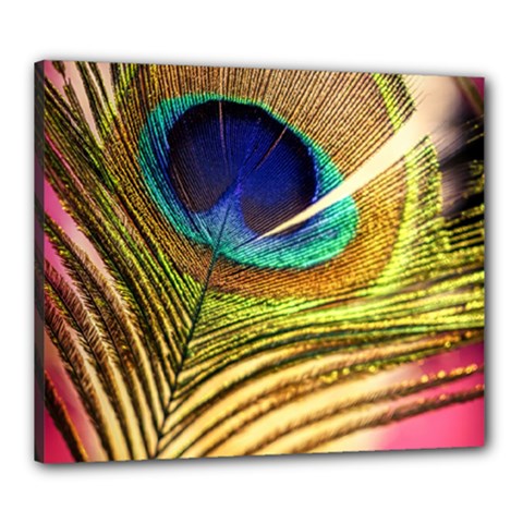 Peacock Feather Colorful Peacock Canvas 24  x 20  (Stretched)