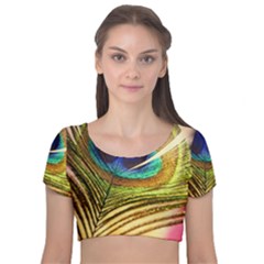 Peacock Feather Colorful Peacock Velvet Short Sleeve Crop Top  by Pakrebo