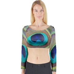 Peacock Feather Close Up Macro Long Sleeve Crop Top by Pakrebo