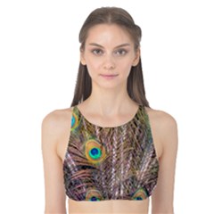 Pen Peacock Wheel Plumage Colorful Tank Bikini Top by Pakrebo