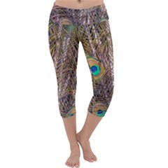 Pen Peacock Wheel Plumage Colorful Capri Yoga Leggings