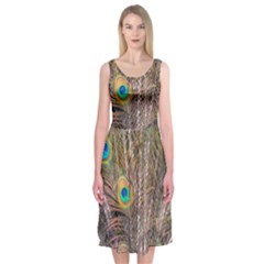 Pen Peacock Wheel Plumage Colorful Midi Sleeveless Dress