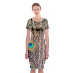 Pen Peacock Wheel Plumage Colorful Classic Short Sleeve Midi Dress