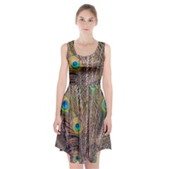 Pen Peacock Wheel Plumage Colorful Racerback Midi Dress