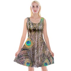 Pen Peacock Wheel Plumage Colorful Reversible Velvet Sleeveless Dress