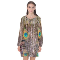 Pen Peacock Wheel Plumage Colorful Long Sleeve Chiffon Shift Dress 